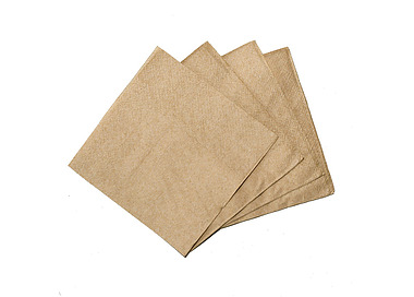 Dinner Napkin 2Ply 1/4 Quilted Kraft 1000/Ctn