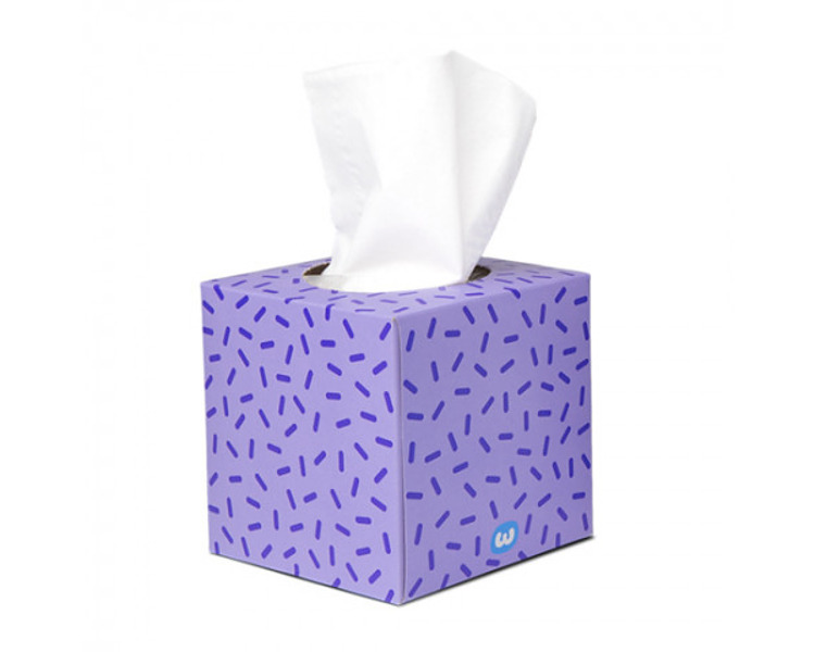 Who Gives A Crap Facial Tissues 3Ply 65's 12/Ctn