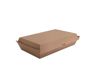 Family Box Kraft 173 x 290 x 75mm 100/Ctn