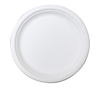 Sugarcane Round Plate White 9" 225mm 500/Ctn