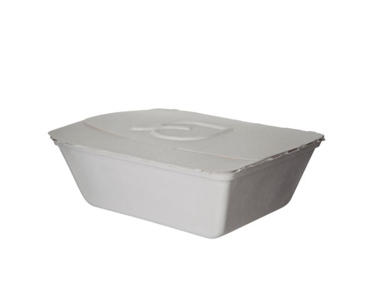 Eco Folia Container White 9 x 7.5x 3.5" 150/Ctn