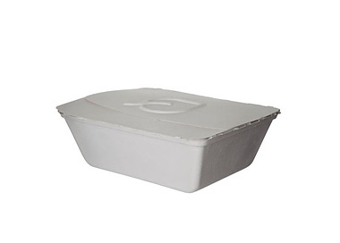 Eco Folia Container White 9 x 7.5x 3.5" 150/Ctn