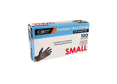 Glove Blue Powder Free Small 100/Pkt