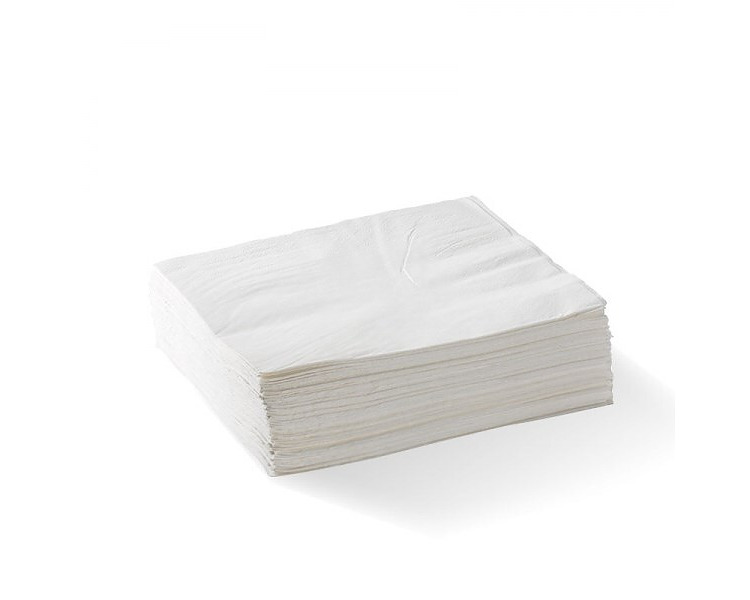 Dinner Napkin 2Ply 1/4 Fold White 1000/Ctn