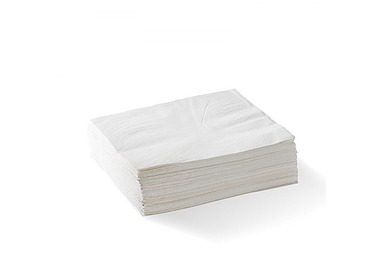 Dinner Napkin 2Ply 1/4 Fold White 1000/Ctn