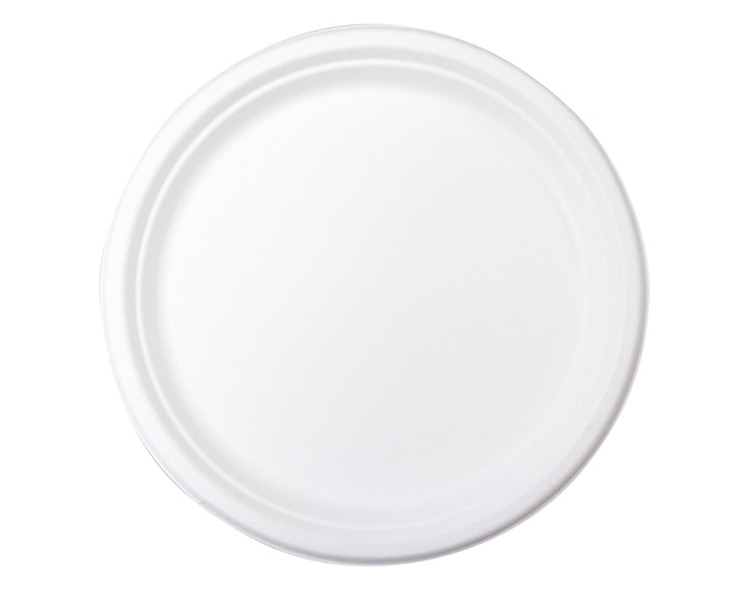 Sugarcane Round Plate White 10" 25cm 500/Ctn