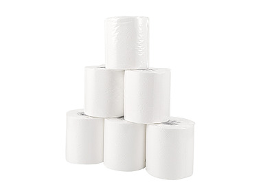 Toilet Roll 3Ply 250 Sheet 48/Ctn