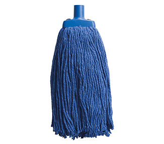 Blue Mop Head