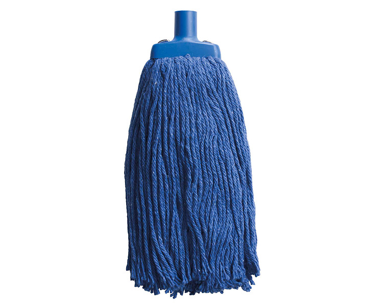 Blue Mop Head