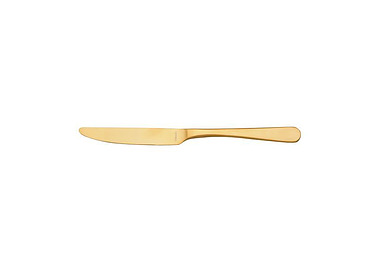 Austin Gold Table Knife 12/Pkt