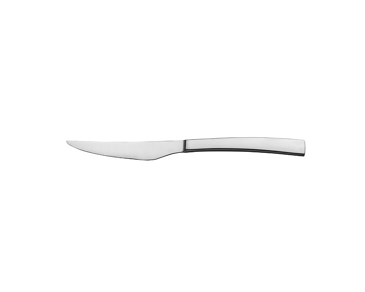 Torino Table Knife Satin Handle 12/Pkt