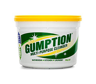 Gumption 500g 12/Ctn