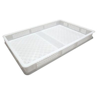 Pasta Drying Box Perforated 60 x 40 x 10cm 6/Ctn