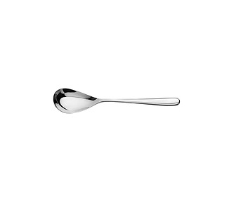 Newton Mirror Teaspoon 12/Pkt